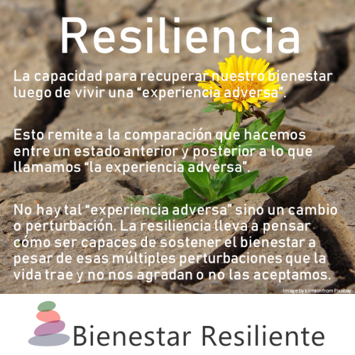 Definicion de Resiliencia