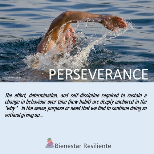 Persistence; Will; Habit; Discipline